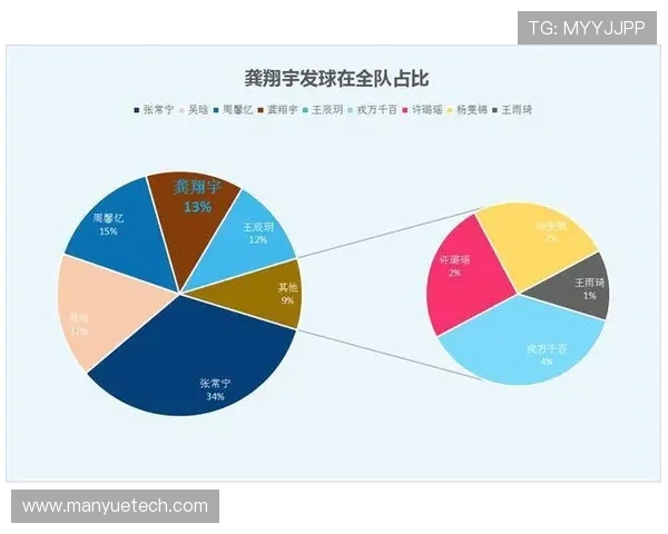 南京排球队技术分析与发展策略探讨聚焦排球竞技新趋势